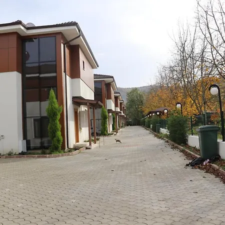 Alriyan 4 Villa Sapanca
