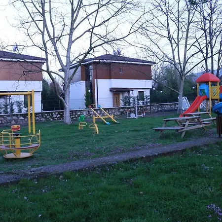Alriyan 4 *